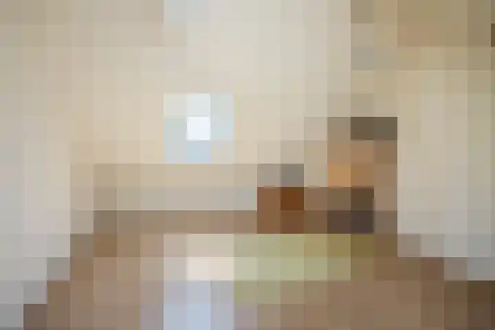 Duizendschoonstraat 35 Uden thumbnail 61