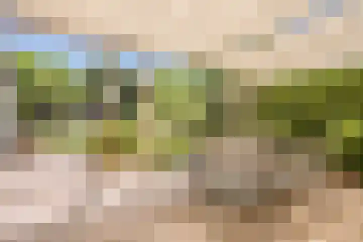 Duizendschoonstraat 35 Uden thumbnail 62