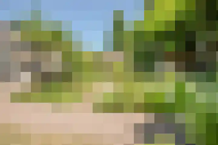 Duizendschoonstraat 35 Uden thumbnail 69