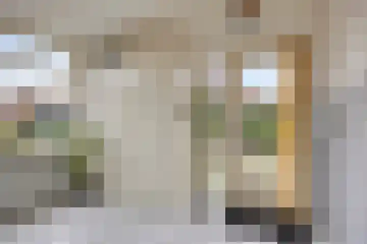 Duizendschoonstraat 52 Uden thumbnail 22