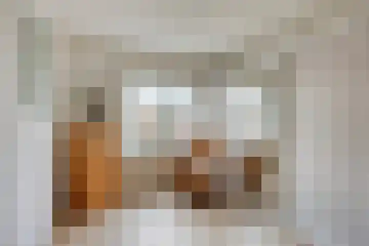 Duizendschoonstraat 52 Uden thumbnail 37