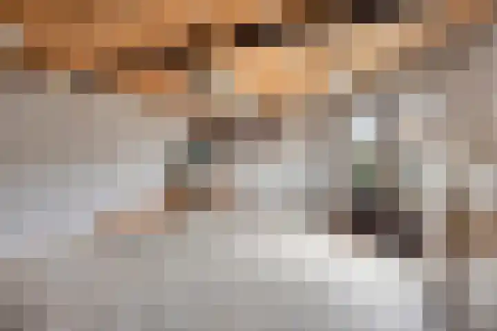 Duizendschoonstraat 52 Uden thumbnail 44
