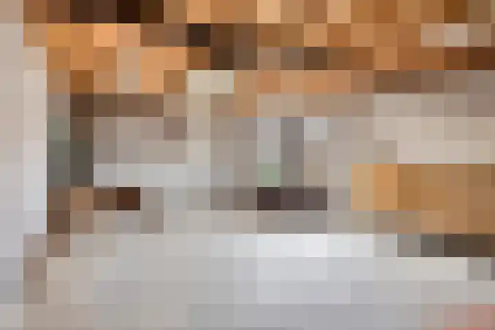 Duizendschoonstraat 52 Uden thumbnail 45