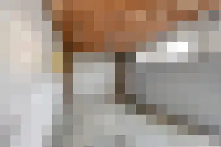 Duizendschoonstraat 52 Uden thumbnail 48