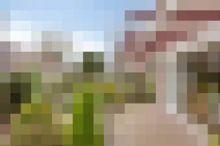 Duizendschoonstraat 52 Uden thumbnail 52