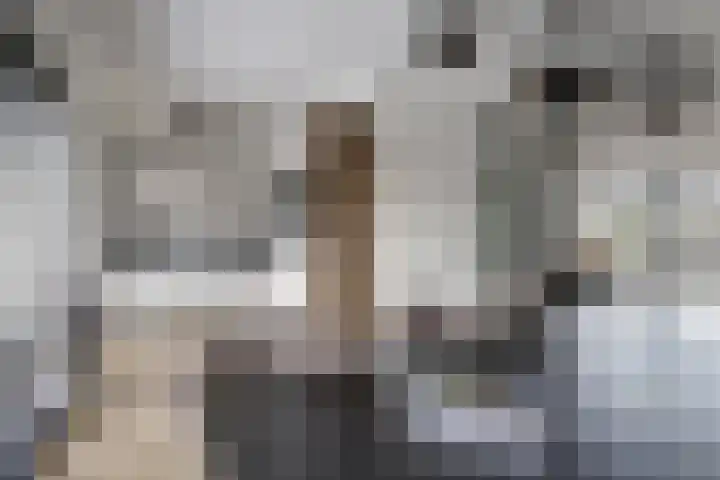 Dukaat 130 Dronten thumbnail 16