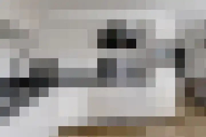 Dukaat 130 Dronten thumbnail 18