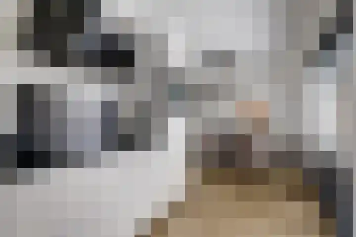 Dukaat 130 Dronten thumbnail 19