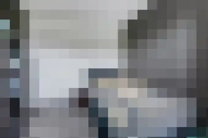 Dukaat 130 Dronten thumbnail 30