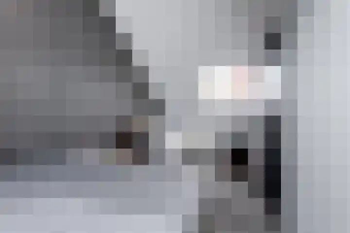 Dukaat 130 Dronten thumbnail 35