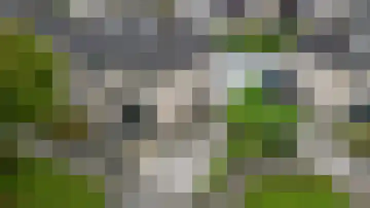 Dukaat 130 Dronten thumbnail 37