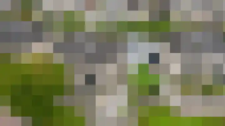 Dukaat 130 Dronten thumbnail 38