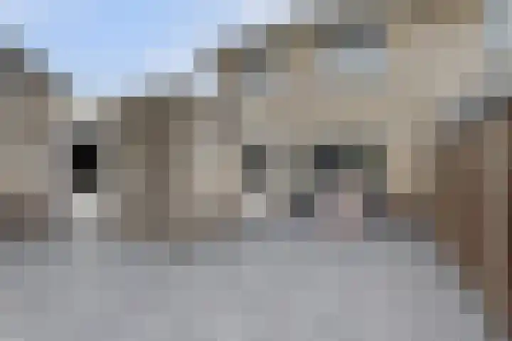 Dukaat 130 Dronten thumbnail 43