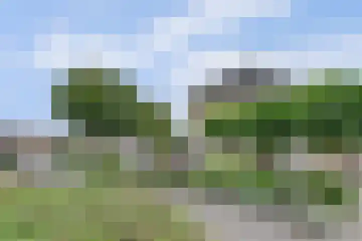 Dukaat 130 Dronten thumbnail 47