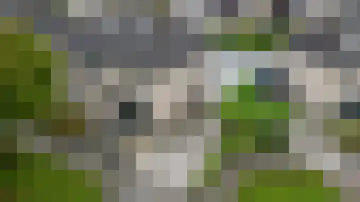 Dukaat 130 Dronten thumbnail 5