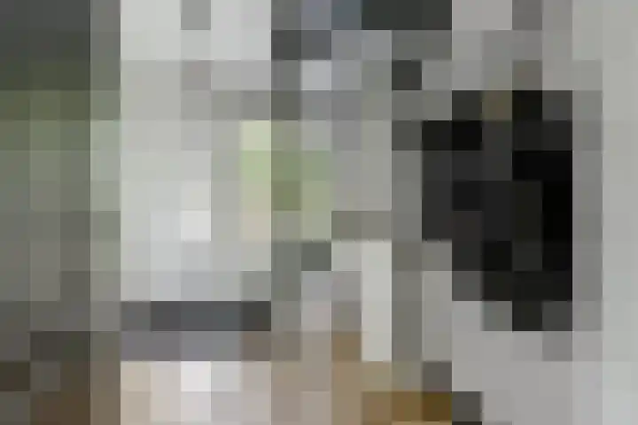 Dukaat 130 Dronten thumbnail 6