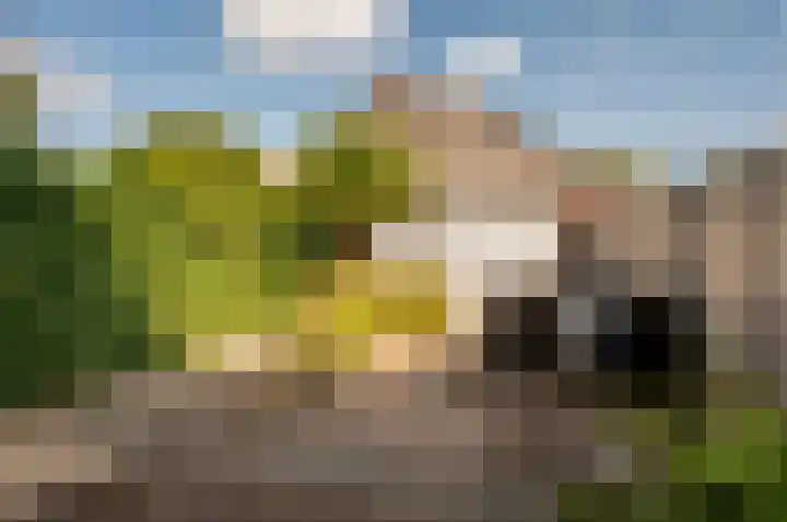 Dukaat 50 Dronten thumbnail 34