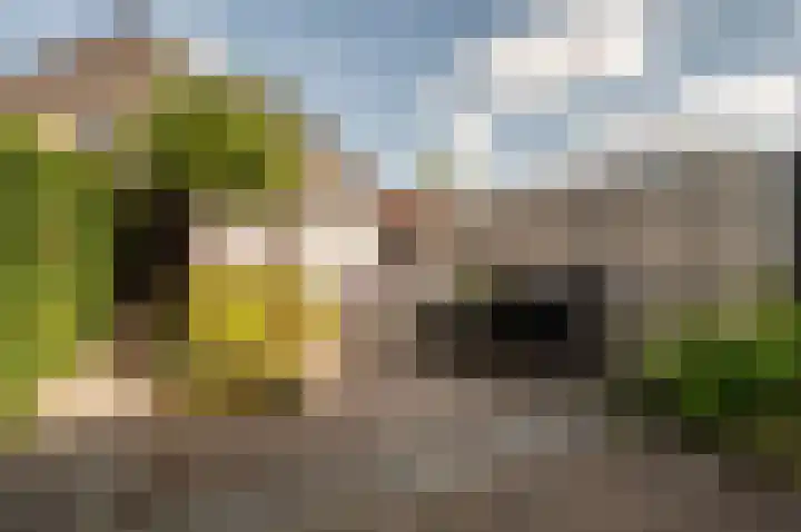 Dukaat 50 Dronten thumbnail 35