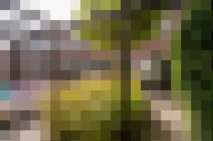 Dukaat 50 Dronten thumbnail 38
