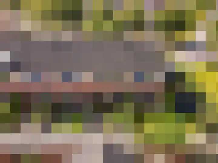 Dukaat 50 Dronten thumbnail 40