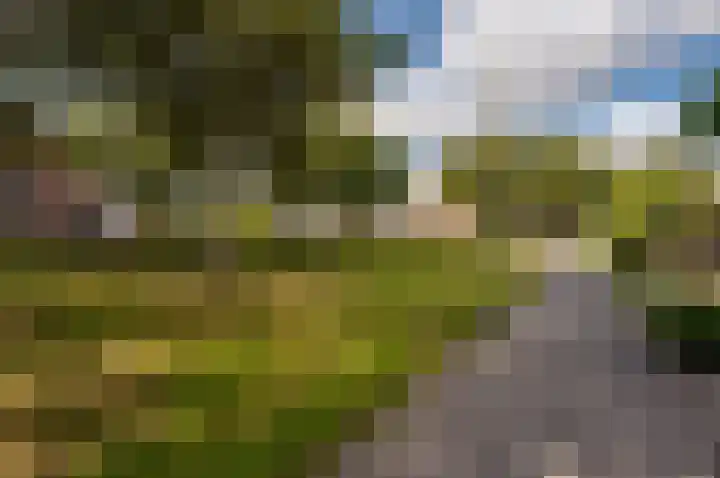 Dukaat 50 Dronten thumbnail 44