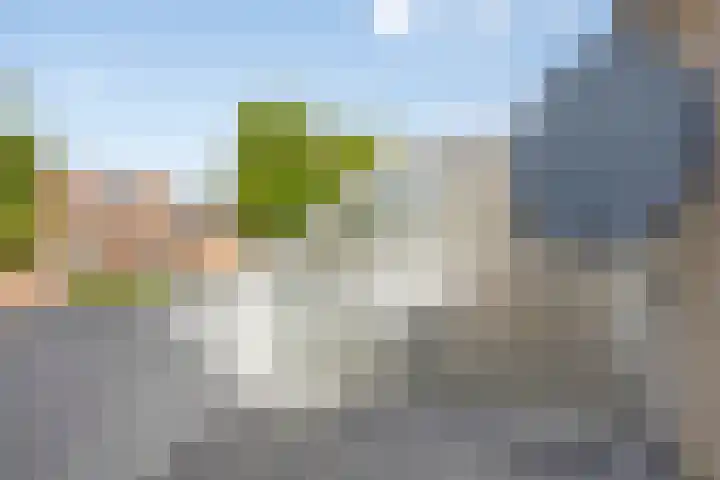 Dukaat 87 Dronten thumbnail 25