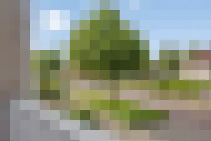 Dukaat 87 Dronten thumbnail 27