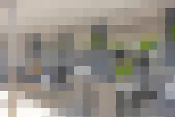 Dukaat 87 Dronten thumbnail 35