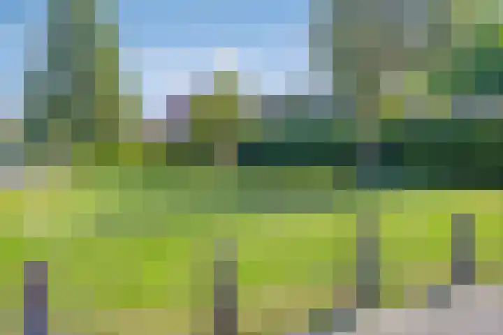 Dukaat 87 Dronten thumbnail 44