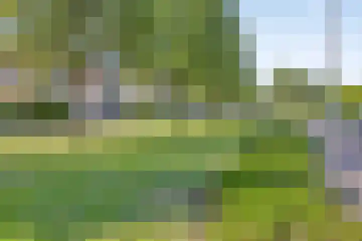 Dukaat 87 Dronten thumbnail 45