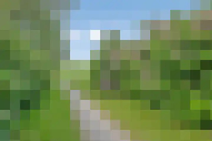 Dukaat 87 Dronten thumbnail 46