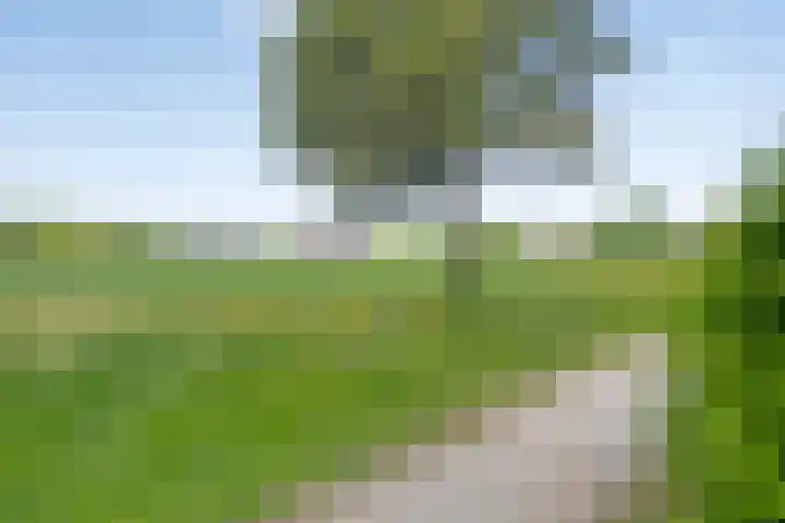 Dukaat 87 Dronten thumbnail 47