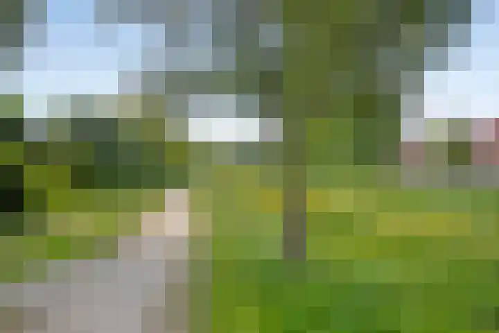 Dukaat 87 Dronten thumbnail 48