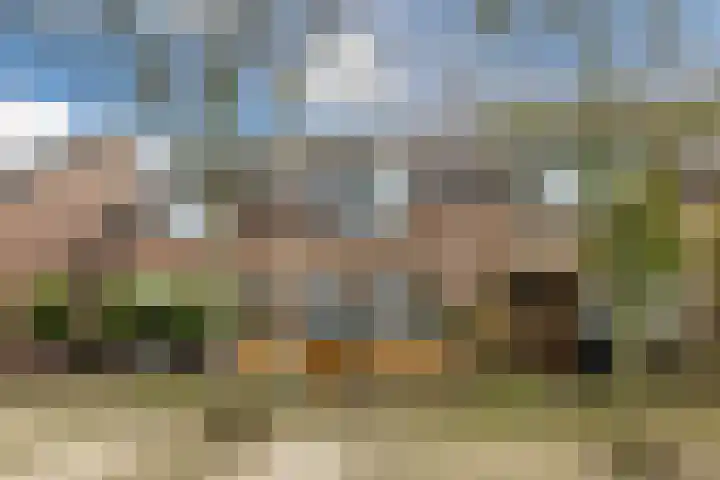 Dukdalf 10 en Hellevoetsluis