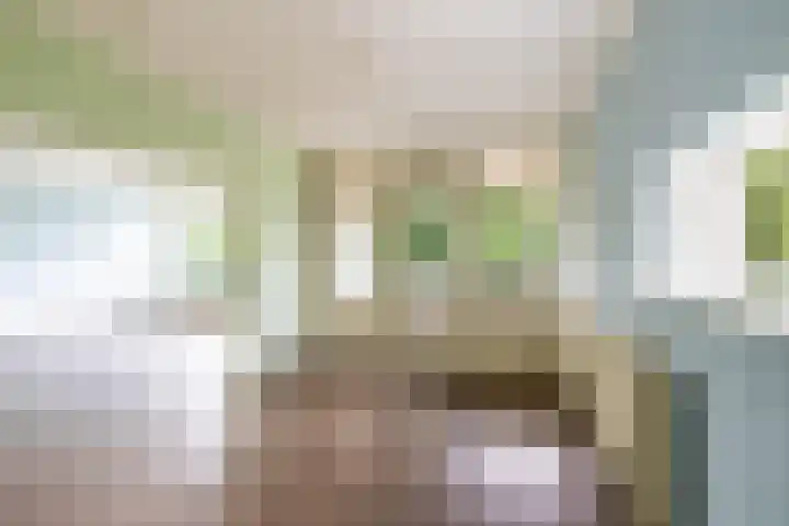 Dukdalf 118 Groningen thumbnail 18