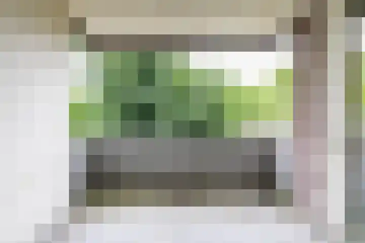 Dukdalf 118 Groningen thumbnail 22