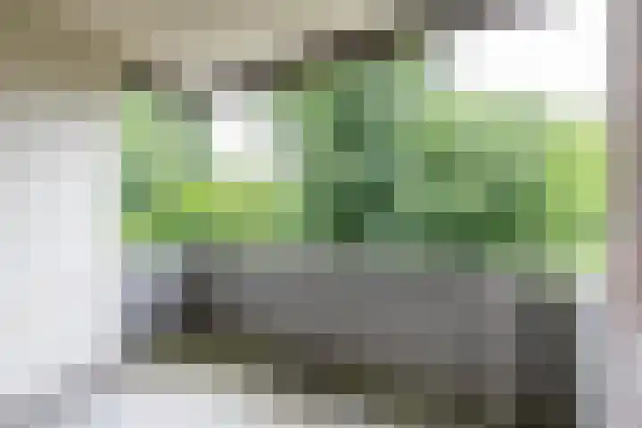 Dukdalf 118 Groningen thumbnail 23