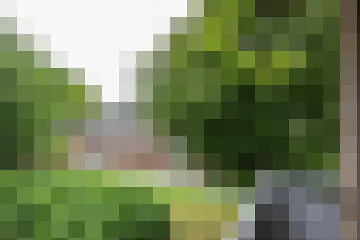 Dukdalf 118 Groningen thumbnail 25