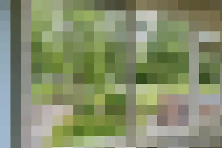 Dukdalf 118 Groningen thumbnail 33