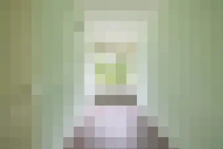Dukdalf 118 Groningen thumbnail 35