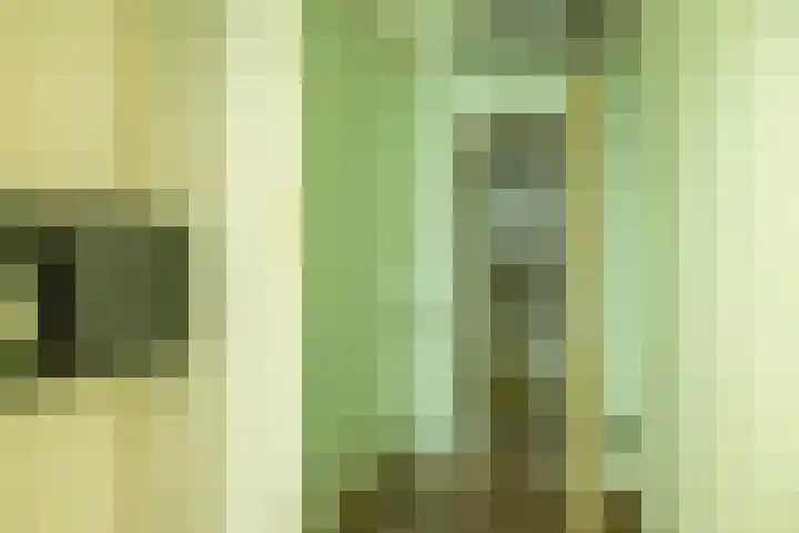 Dukdalf 118 Groningen thumbnail 44