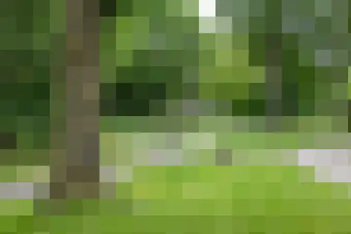 Dukdalf 118 Groningen thumbnail 5