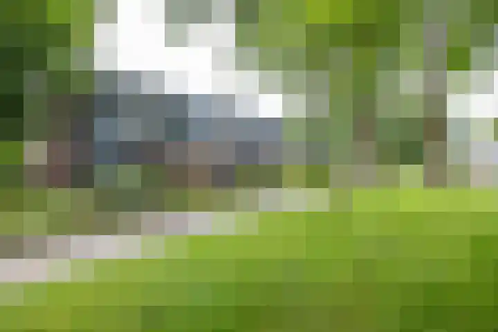 Dukdalf 118 Groningen thumbnail 6