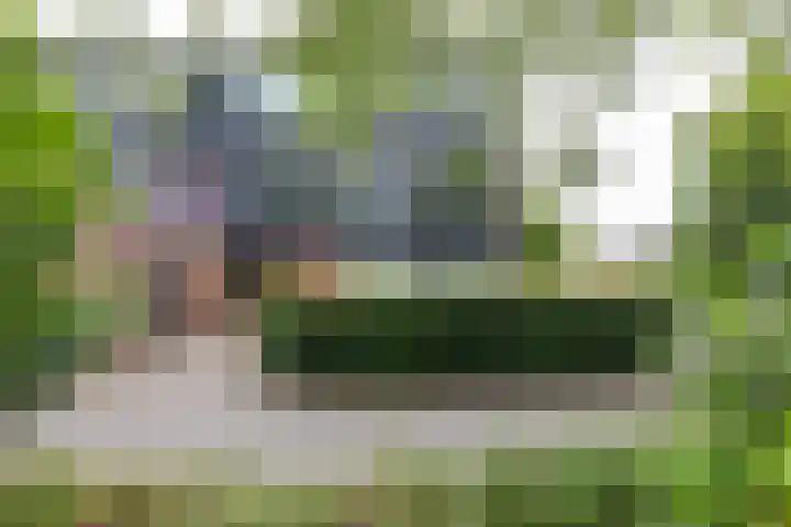 Dukdalf 118 Groningen thumbnail 8