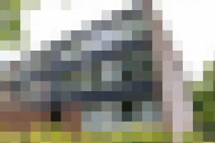 Dukdalf 118 Groningen thumbnail 9