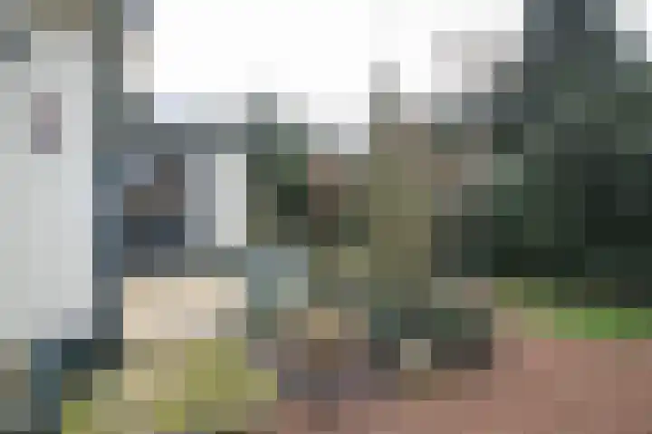 Dukdalf 128 Groningen thumbnail 10