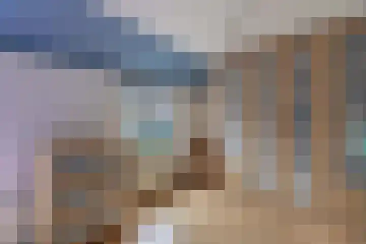 Dukdalf 128 Groningen thumbnail 13