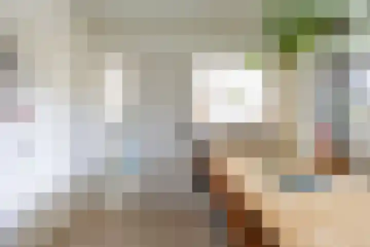 Dukdalf 128 Groningen thumbnail 14