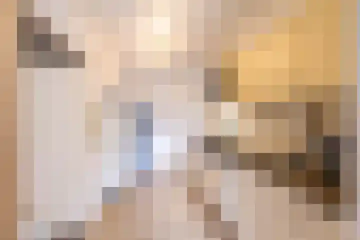 Dukdalf 128 Groningen thumbnail 16