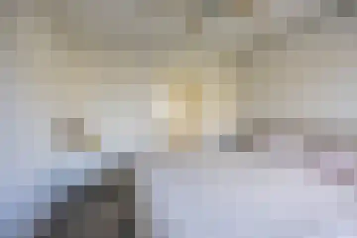 Dukdalf 128 Groningen thumbnail 22